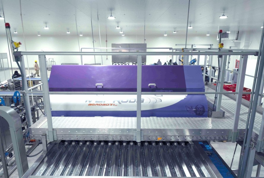 MAF RODA Group mostrará en Fruit Attraction el futuro de los almacenes hortofrutícolas inteligentes