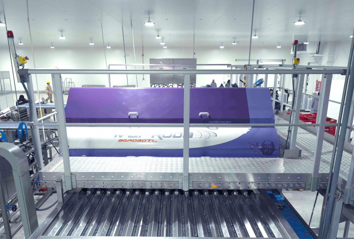 MAF RODA Group mostrará en Fruit Attraction el futuro de los almacenes hortofrutícolas inteligentes