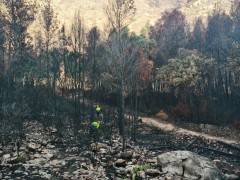 La Generalitat inicia los trabajos en las carreteras afectadas por el incendio de la Vall con 1,2 millones