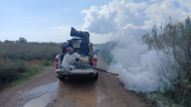 Benicàssim intensifica las labores de vigilancia y control de mosquitos tras el episodio de lluvias