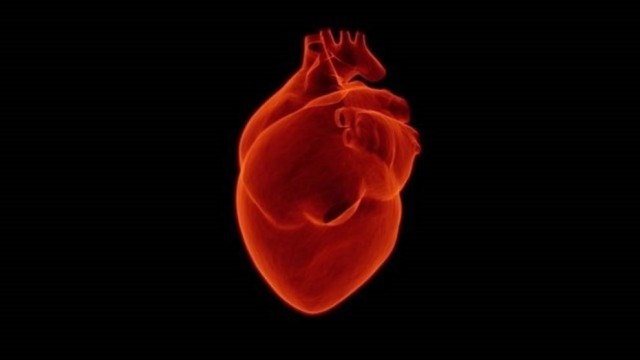 El infarto en mujeres está infradiagnosticado y puede confundirse con ansiedad
