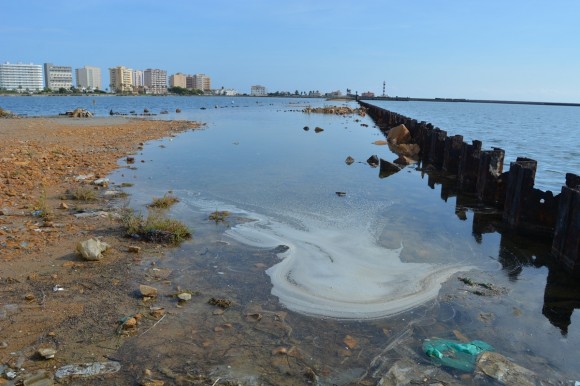 Esta es la propuesta de ANSE para restaurar la Caleta del Estacio en La Manga tras desmantelar Puerto Mayor