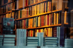 La Plaza de las letras: Coherencia VS verosimilitud