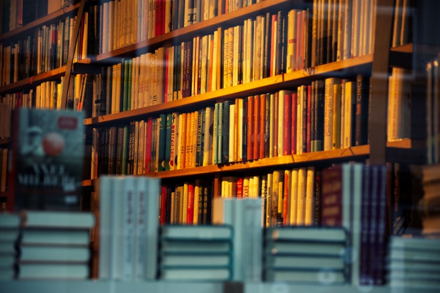 La Plaza de las letras: Coherencia VS verosimilitud