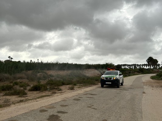 Elche pone en marcha un plan de choque para acabar con la proliferación de mosquitos