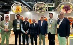 El aguacate valenciano gana mercado: los operadores reclaman más producción para incorporar el sello de origen
