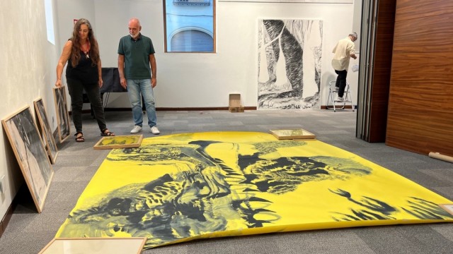 El Gil-Albert exhibe el último trabajo conjunto de Susana Guerrero y Eduardo Infante