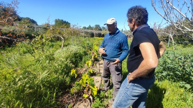 La agricultura regenerativa busca abrirse paso en la Región con un plan de transición de tres años