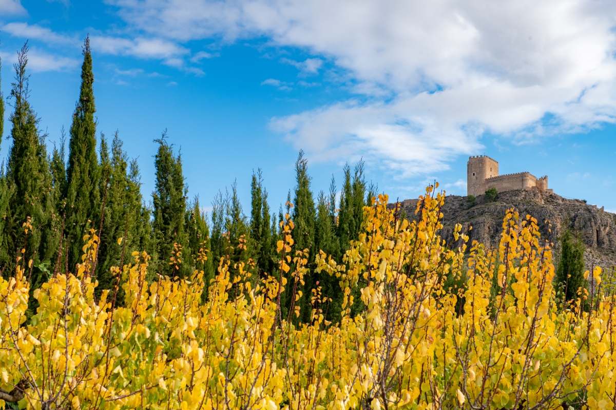  - Foto: TURISMO REGIÓN DE MURCIA