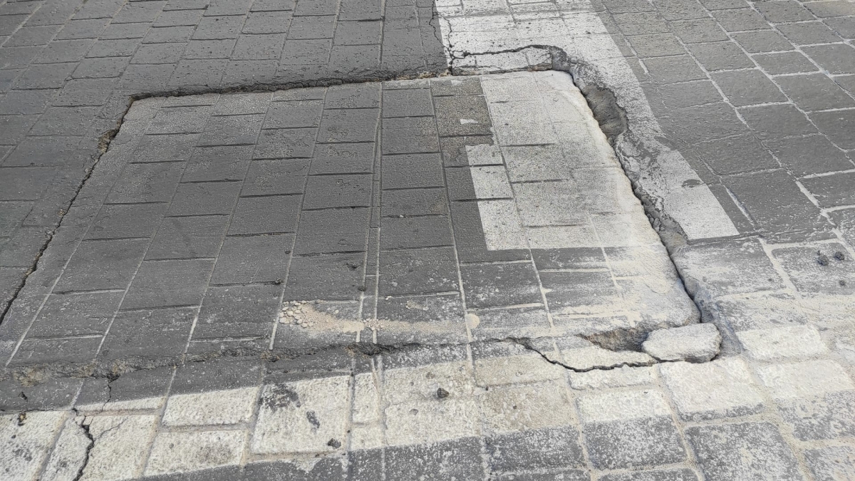  - Foto: HUERMUR