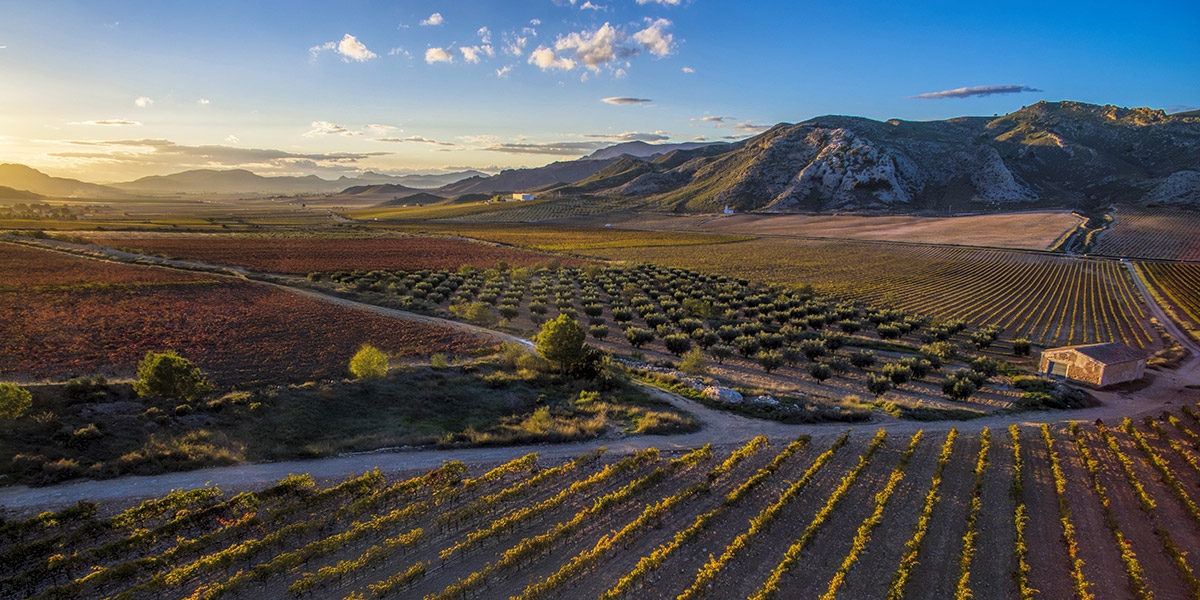 Jumilla - Foto: TURISMO REGIÓN DE MURCIA Jumilla
