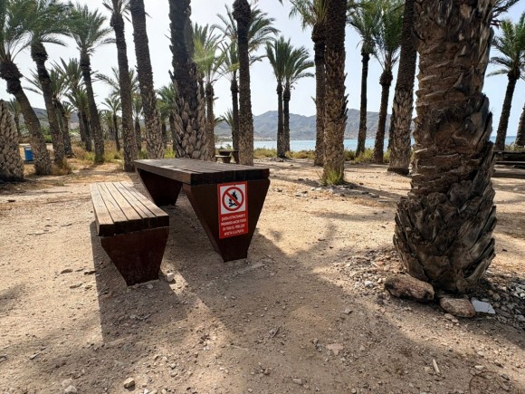 Cartagena protegerá el palmeral y la pinada con la reparcelación del polígono I de San Ginés