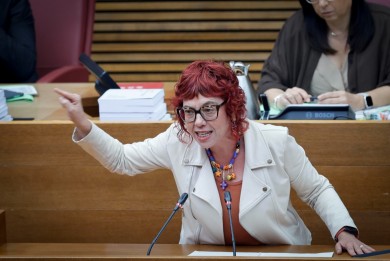 PSPV denuncia que el Consell 