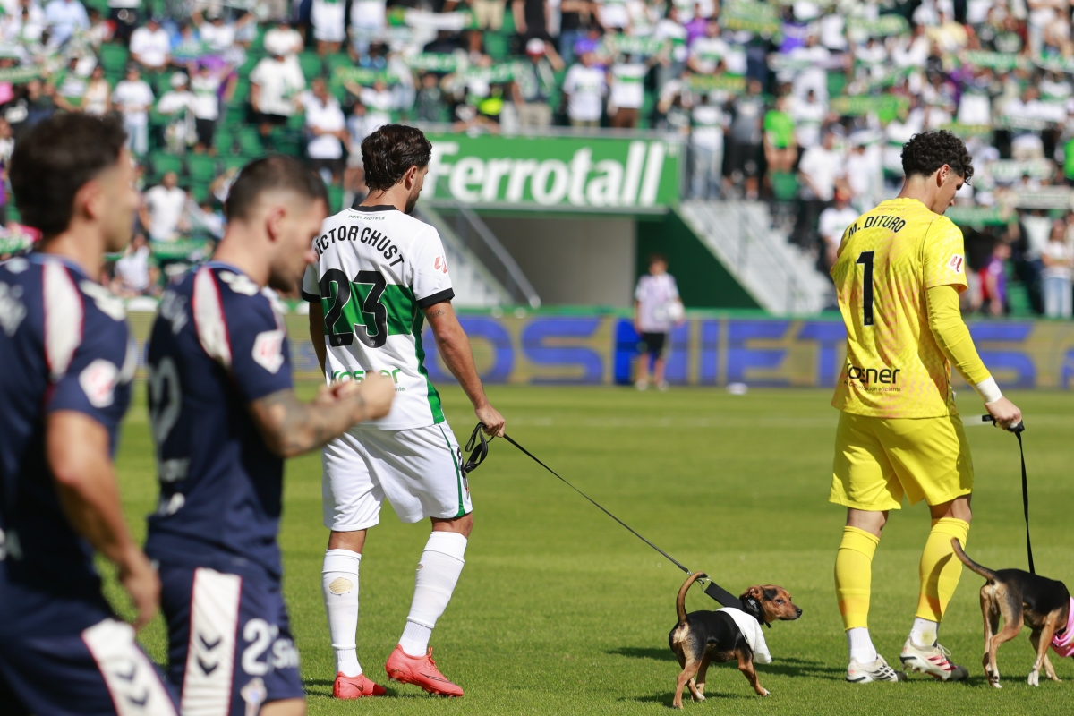 Chust y Dituro con ejemplares en adopción de Patitas Ilicitanas - Foto: EFE Chust y Dituro con ejemplares en adopción de Patitas Ilicitanas