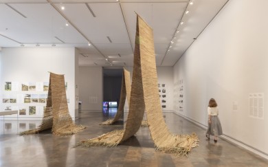 El IVAM despide su exposición de La albufera con una jornada 