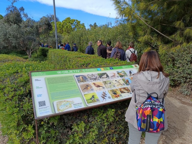Senderos de Otoño de Alicante: ruta del agua en el Casco Antiguo y anillamiento de aves en La Marjal