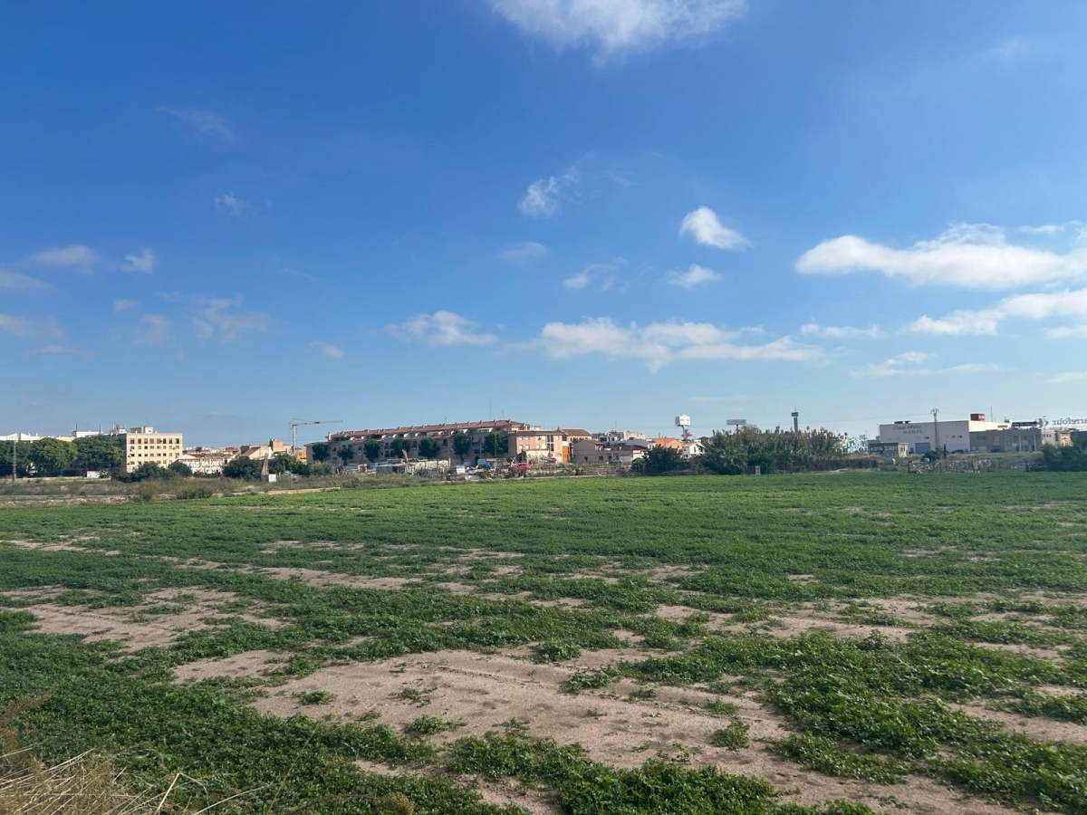 Terrenos donde se proyecta el PAI de la Font Baixa en Alfafar. - Foto: VP Terrenos donde se proyecta el PAI de la Font Baixa en Alfafar.