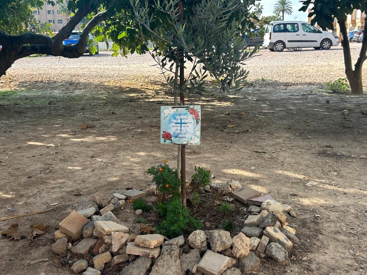 Olivera en memoria de las víctimas de la Dana del 29 de octubre en Alfafar. - Foto: VP Olivera en memoria de las víctimas de la Dana del 29 de octubre en Alfafar.