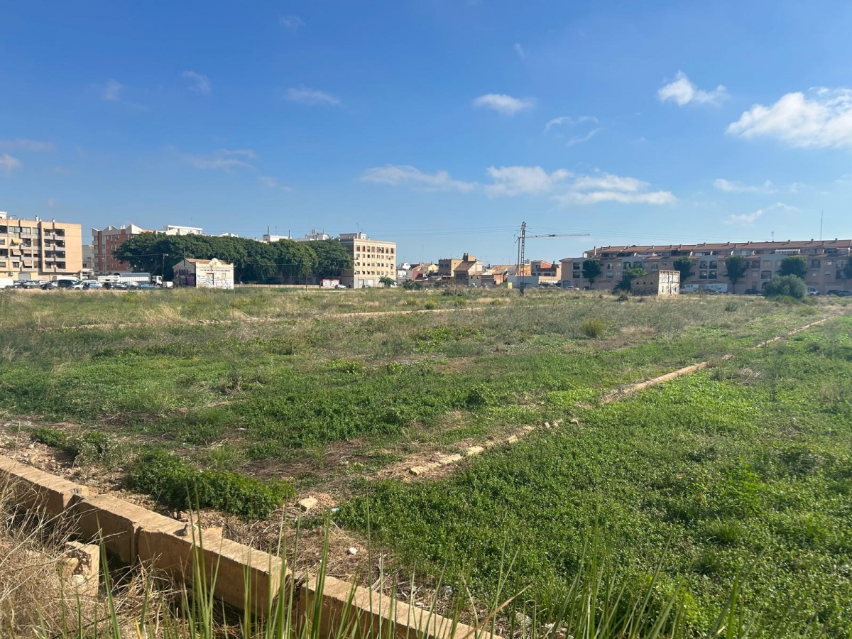 Terrenos donde se proyecta el PAI de Font Baixa de Alfafar. - Foto: VP Terrenos donde se proyecta el PAI de Font Baixa de Alfafar.
