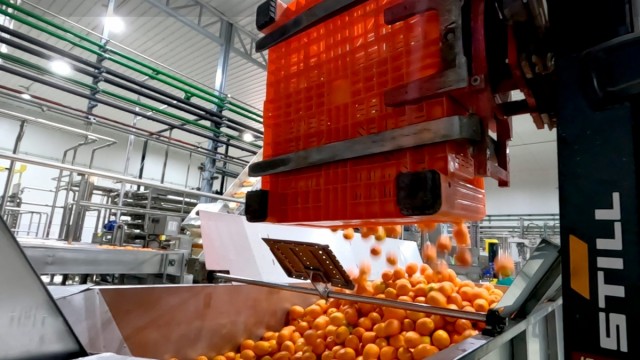 Mak Food duplicará plantilla y producción con una nueva fábrica en Molina y aspira a los 180 millones en ventas