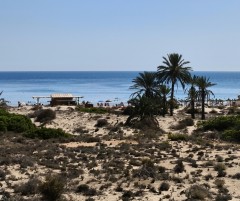 Elche registra su mejor septiembre histórico en ocupación hotelera, con un 89,8%
