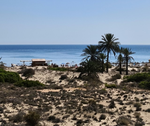 Elche registra su mejor septiembre histórico en ocupación hotelera, con un 89,8%