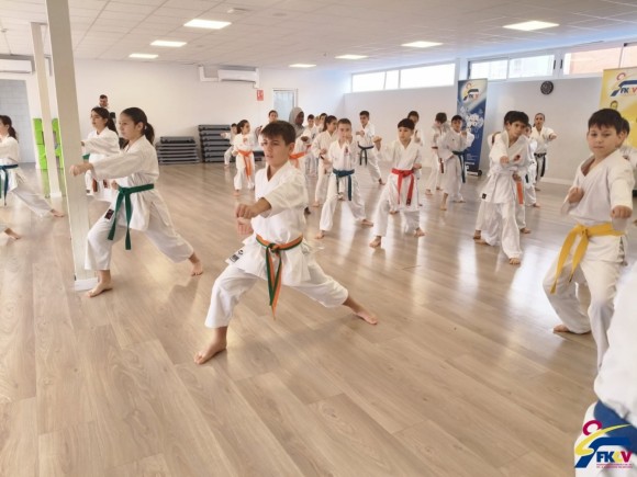 El karate valenciano pega fuerte: un 31 % más de licencias en los últimos años
