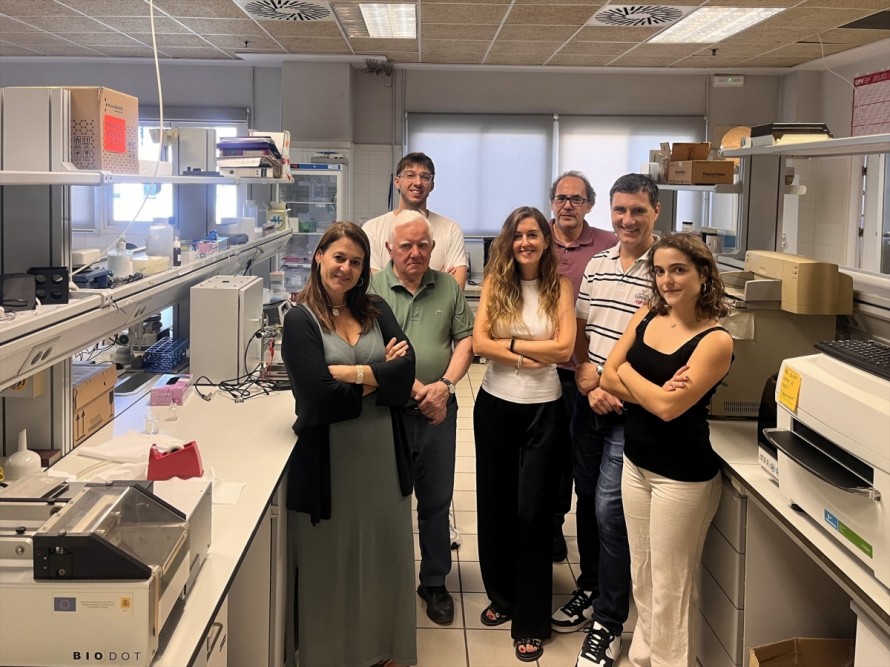 La UPV participa en el diseño de un dispositivo para la detección temprana de enfermedades a través del sudor