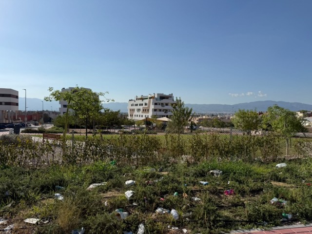 El PSOE exige la licitación inmediata del contrato de jardines ante el abandono de los parques en las pedanías