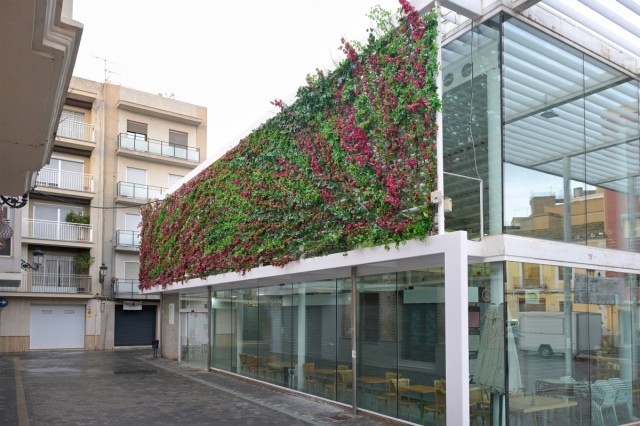 Paiporta finaliza las obras de reparación de la cubierta y la instalación del jardín vertical del Mercado Municipal