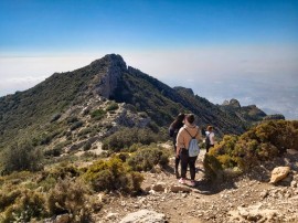 Tres alojamientos para 16 personas: el camping que busca sitio en el campo de Busot