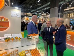 IGP Cítricos Valencianos busca ampliar sus variedades y atrae el interés de operadores de cuatro continentes