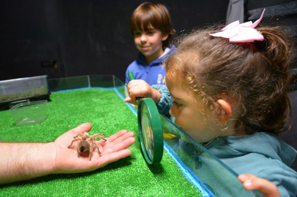 Un Halloween para concienciar sobre la extinción de especies en Terra Natura Benidorm