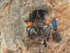Reconstruyen dos nidos de águila perdicera destruidos por el incendio de la Sierra de Espadán