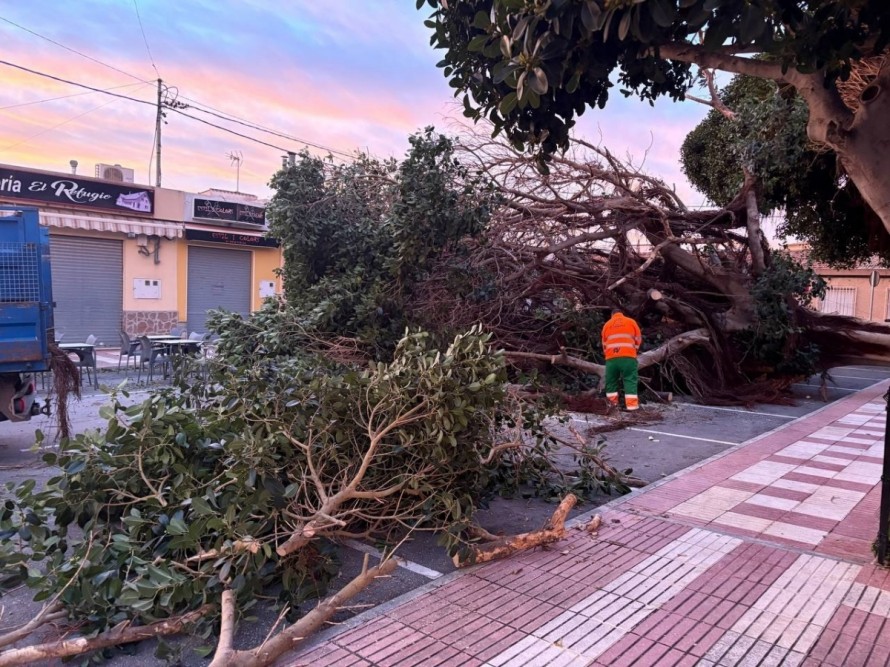 Emergencias gestiona 100 incidentes relacionados con el temporal: 61 en Alicante y 39 en Valencia