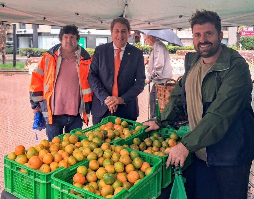 Los cítricos de Castelló, del campo a la mesa: el Mercat de la Taronja alcanza su 18 aniversario