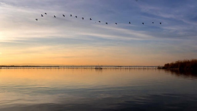 El Ayuntamiento de València fletará autobuses para ver el atardecer en l'Albufera durante la Gran Fira