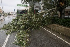 Las tormentas obligan a cortar 17 carreteras en la Marina Alta, la Safor y la Ribera Alta