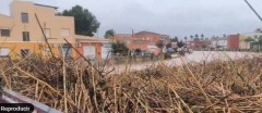 Vecinos de Els Poblets atribuyen los daños a las cañas que taponaron los puentes del río Girona
