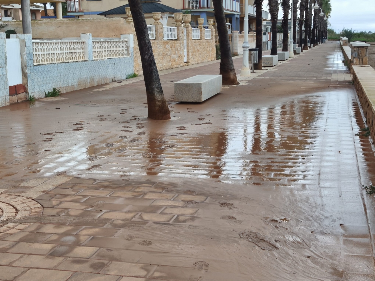  - Foto: Asociación de Vecinos de Los Nietos