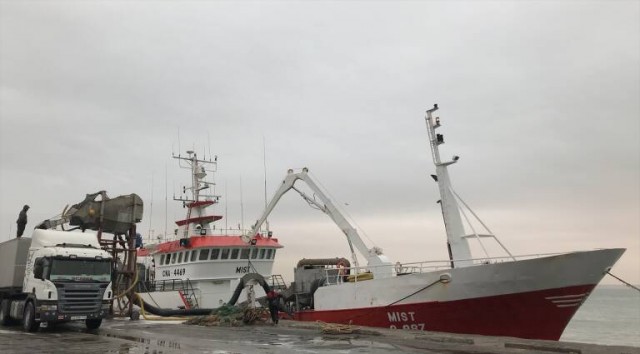 Organizaciones del sector pesquero vuelven a reclamar la bajada del IVA de productos del mar