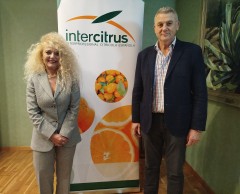 Inmaculada Sanfeliu vuelve a la presidencia de Intercitrus con la extensión de norma como prioridad 
