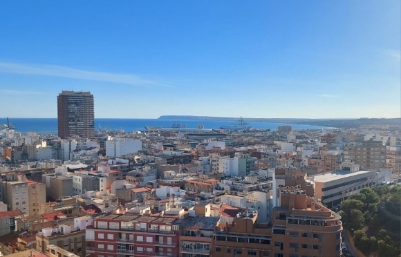 Alicante y el Puerto solicitan fondos a la UE para crear espacios bioclimáticos en sus puntos de unión