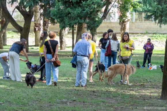El parque del Cartagonova acoge la Feria de Adopciones de Perros y Gatos de Cartagena