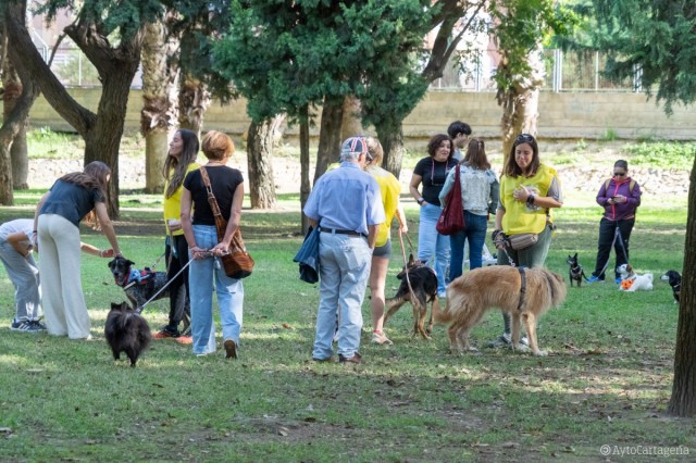 El parque del Cartagonova acoge la Feria de Adopciones de Perros y Gatos de Cartagena