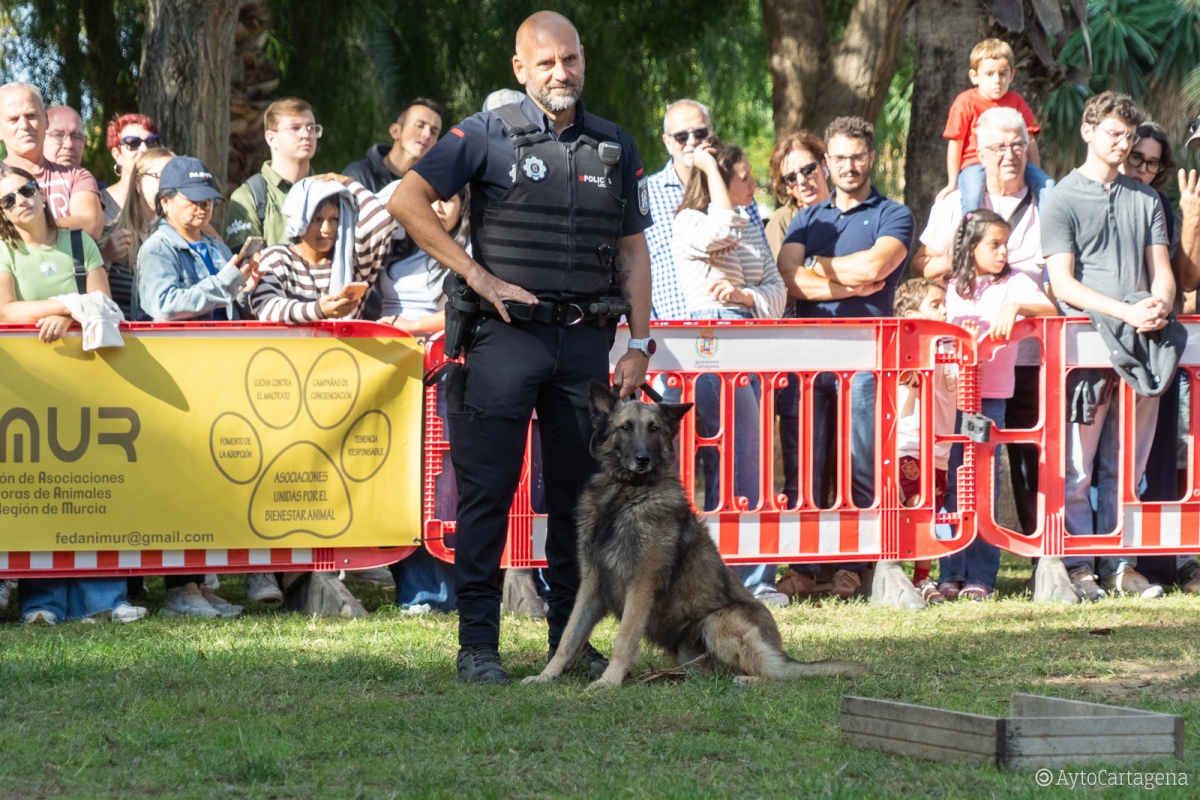  - Foto: AYUNTAMIENTO