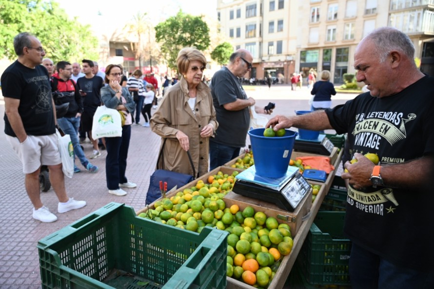 El Mercat de la Taronja de Castelló, un referente del producto de proximidad