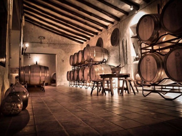El negocio del vino busca huéspedes: la Región impulsa el alojamiento en bodegas con ayudas de hasta 700 euros