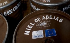 El campo valenciano sufre la cara B de Mercosur y los cítricos piden auxilio en Europa