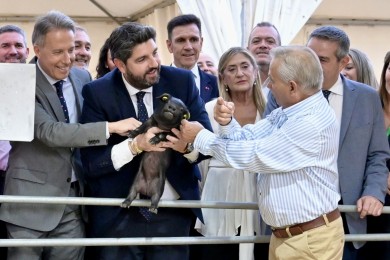 El sector ganadero marca nuevo récord en la Región con 530.000 toneladas de producción animal
